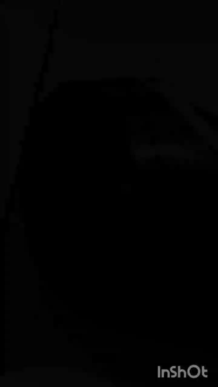 گوشت کوب برقی 1000 وات|خردکن، آسیاب، غذاساز|شیراز, طلاب|دیوار