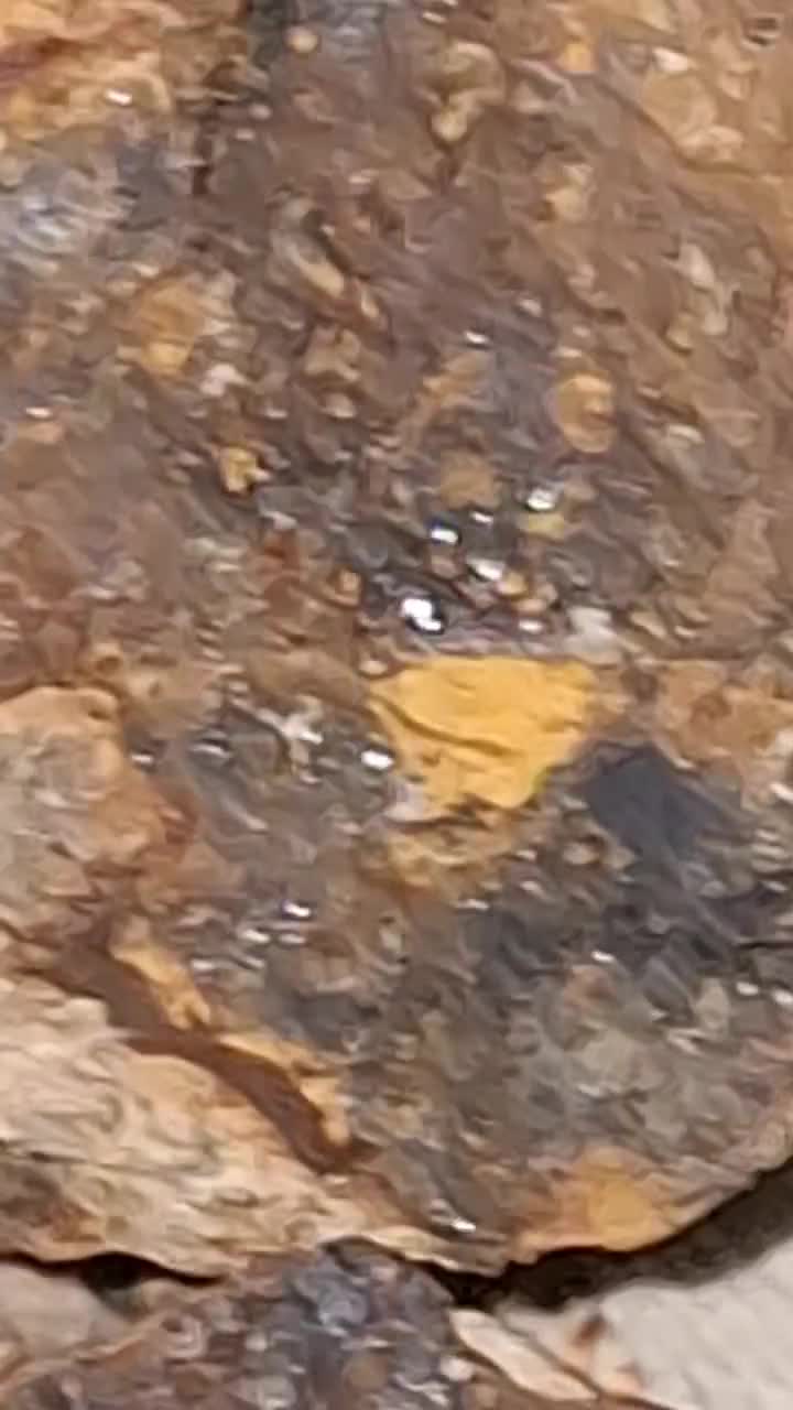 شهاب سنگ جواهر گوهر الماس Achondrite meteorite|جواهرات|تهران, تجریش|دیوار