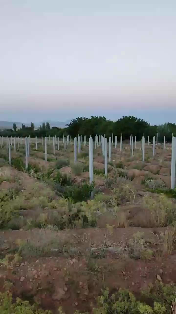 پایه فنس بتنی|خدمات پیشه و مهارت|نجف‌آباد, حومه نجف آباد|دیوار