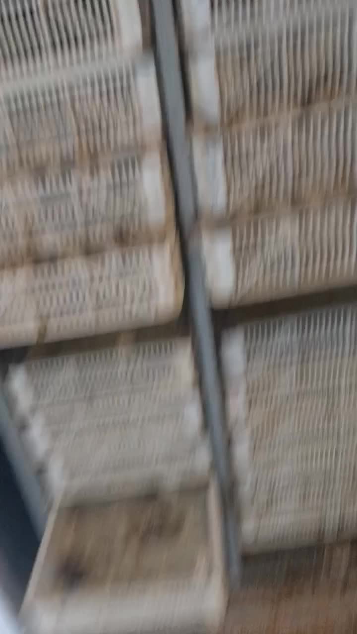 جوجه بوقلمون یک روزه و تخم نطفه دار|حیوانات مزرعه|تبریز, |دیوار