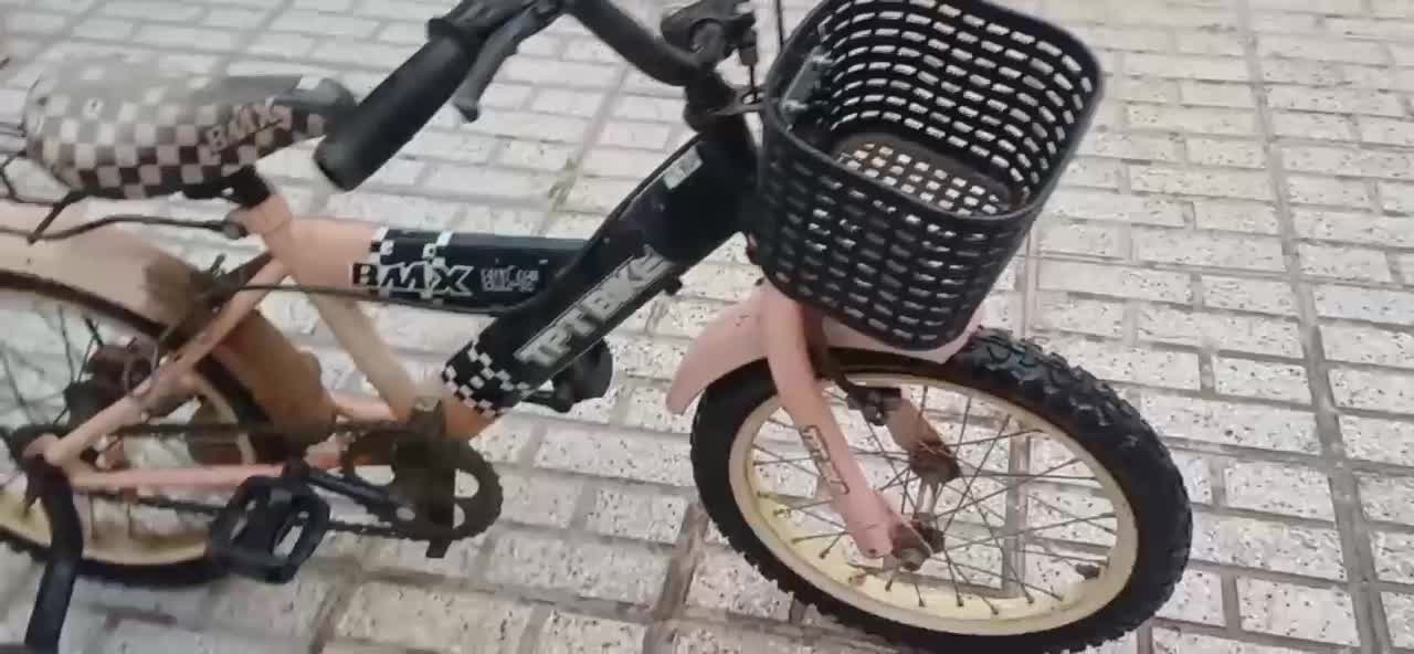 سلام یک عدد دوچرخه سالم به فروش می‌رسد|دوچرخه، اسکیت، اسکوتر|تربت‌حیدریه, میدان مرکزی|دیوار