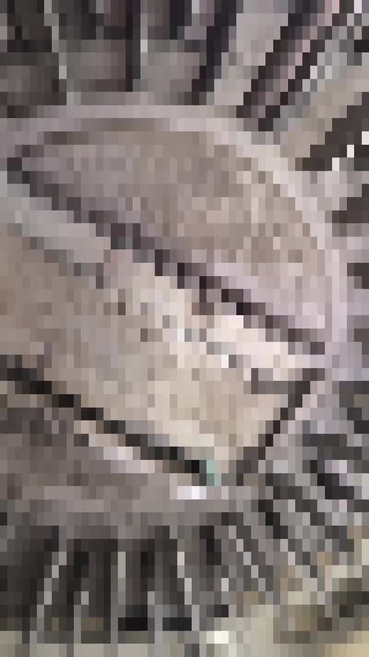 نصب حرفه ای موتور ایسوزو کارسان|خدمات موتور و ماشین|پیر بکران, |دیوار