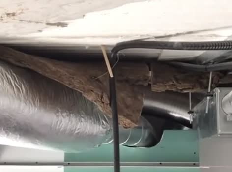 نصب انواع سقف کاذب و دیوارپوش|خدمات پیشه و مهارت|کرج, برغان|دیوار