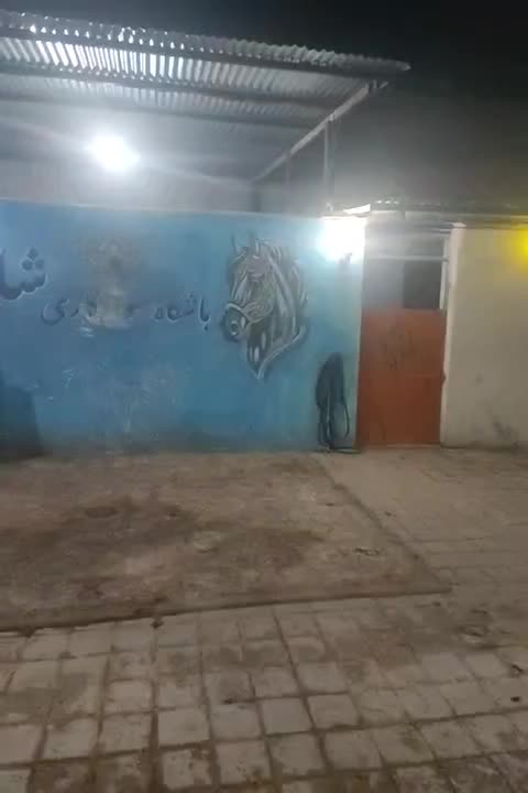 باشگاه سوارکاری (لوازم سوارکاری)|اسب و تجهیزات اسب‌سواری|قم, بوستان جوان|دیوار
