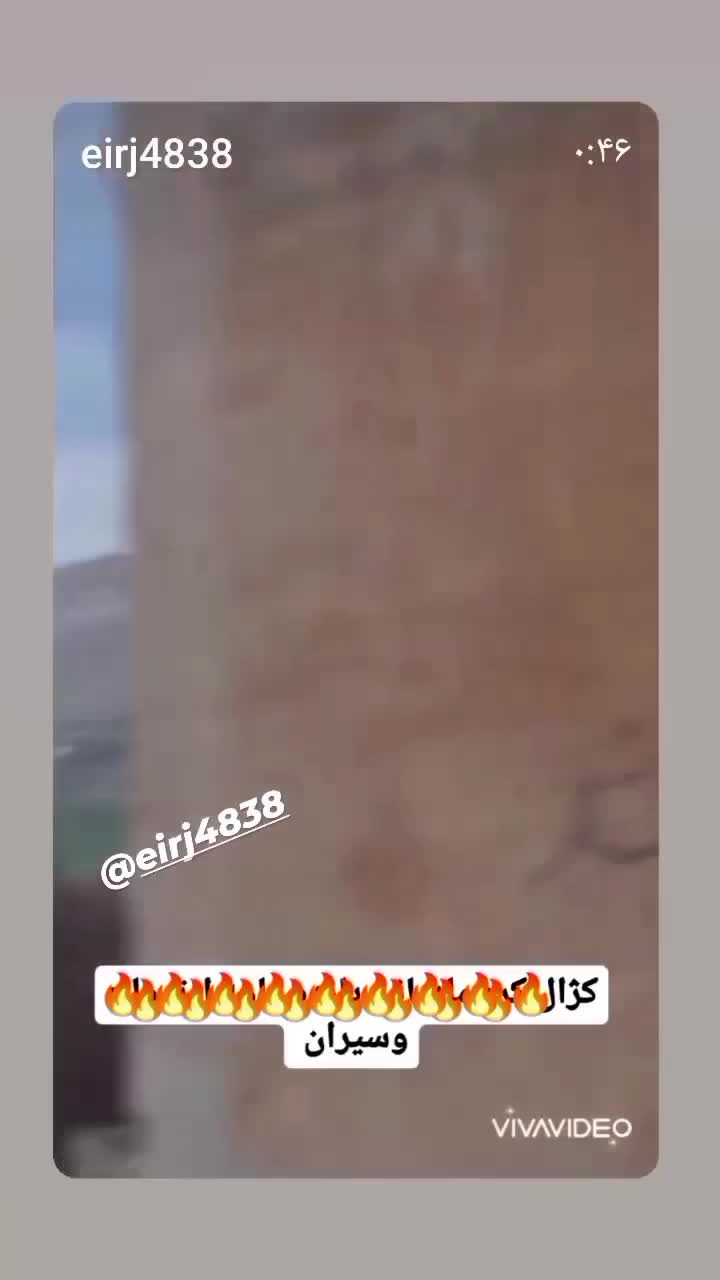 اسب کرد|اسب و تجهیزات اسبسواری|گیلان غرب, |دیوار