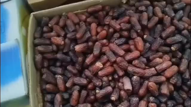خرما|خوردنی و آشامیدنی|تهران, تجریش|دیوار