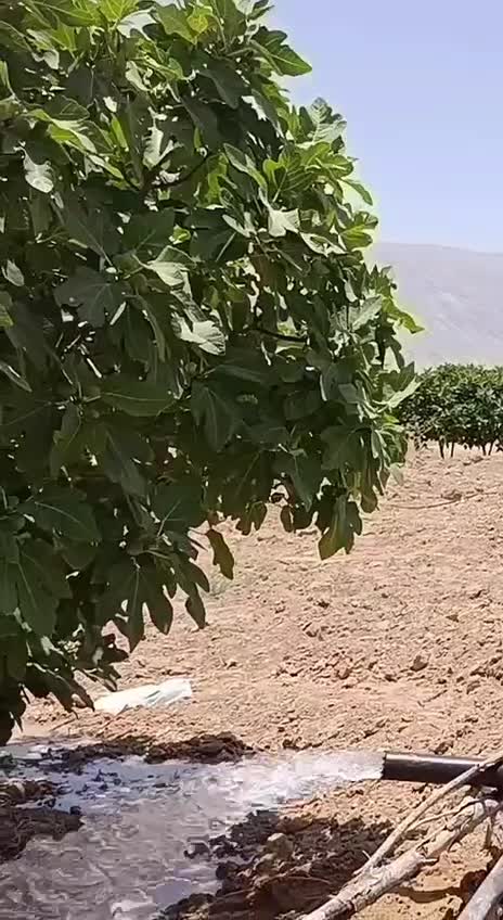 پمپ آب بدون هزینه سوخت و قطعی برق|مصالح و تجهیزات ساختمان|شیراز, دانشگاه شیراز|دیوار