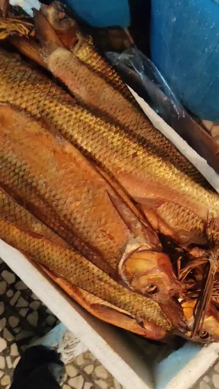 فروش انواع ماهی سفید دودی لوکس و اشبل|ماهی|رشت, چمارسرا|دیوار