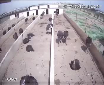 مزرعه ۴۰ هزار متری، سنددار،دیوار شده با تاسیسات|فروش زمین و ملک کلنگی|زرندیه, |دیوار