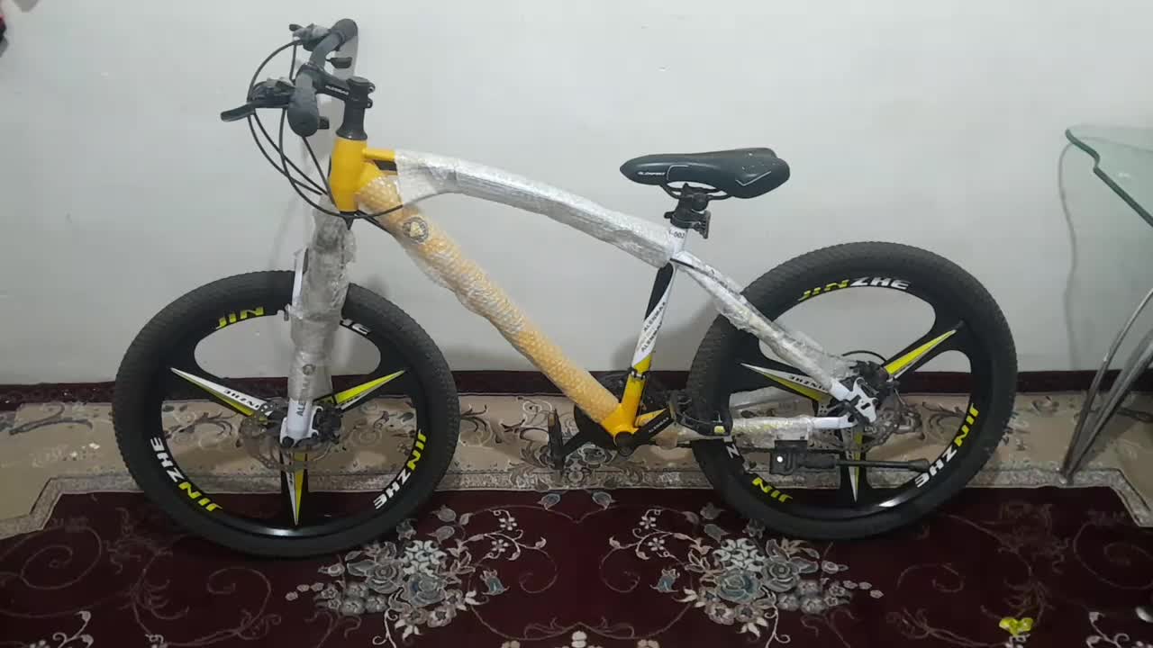 دوچرخه|دوچرخه، اسکیت، اسکوتر|پاسارگاد, |دیوار