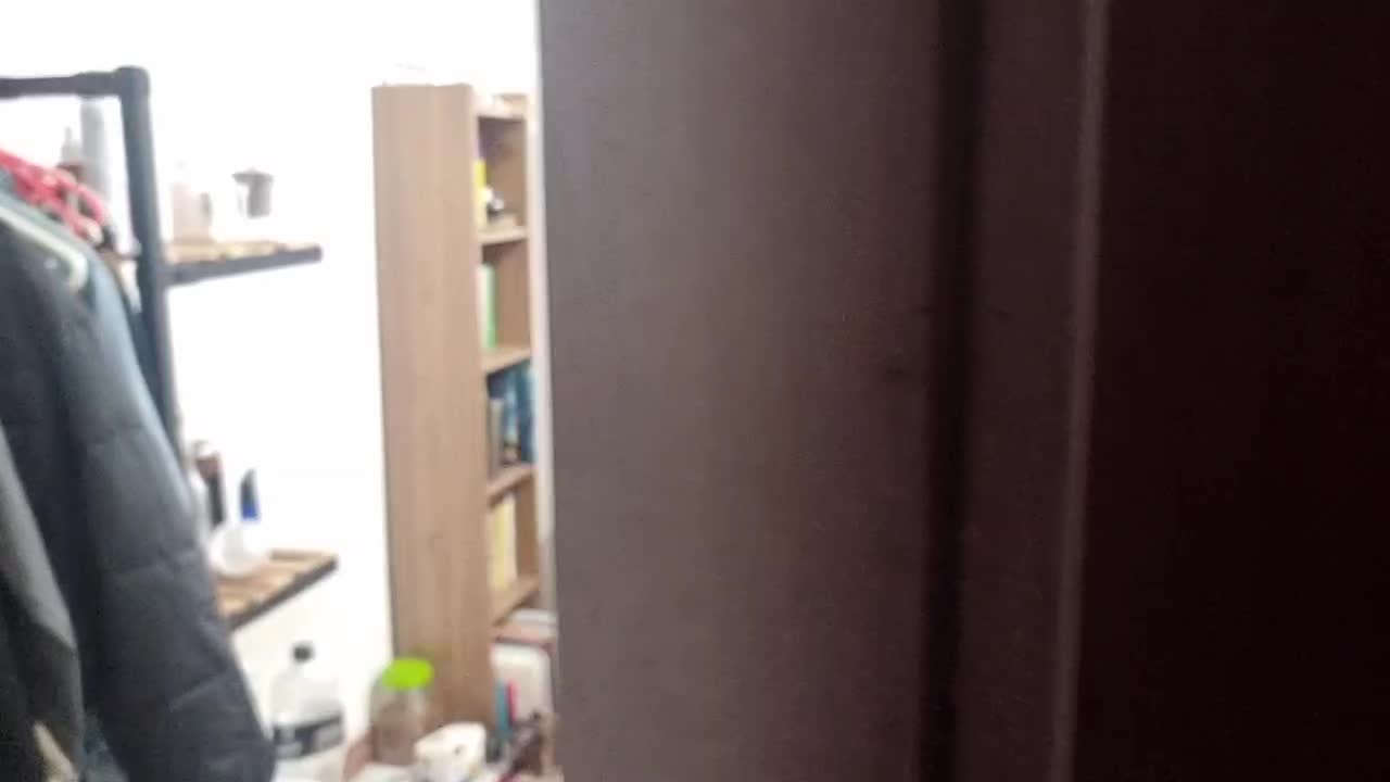 جایگزین برای خابگاه دخترانه|اجارهٔ آپارتمان|رشت, کوی غلام نیا|دیوار