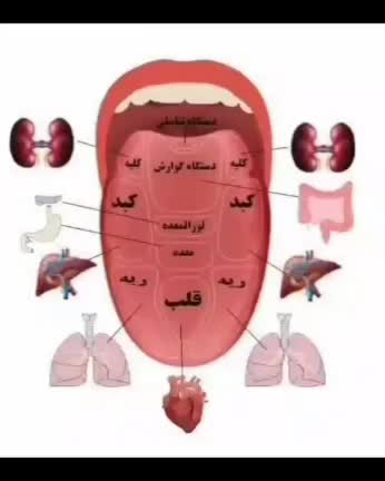 کار درمنزل|استخدام آموزشی|تهران, مخصوص|دیوار