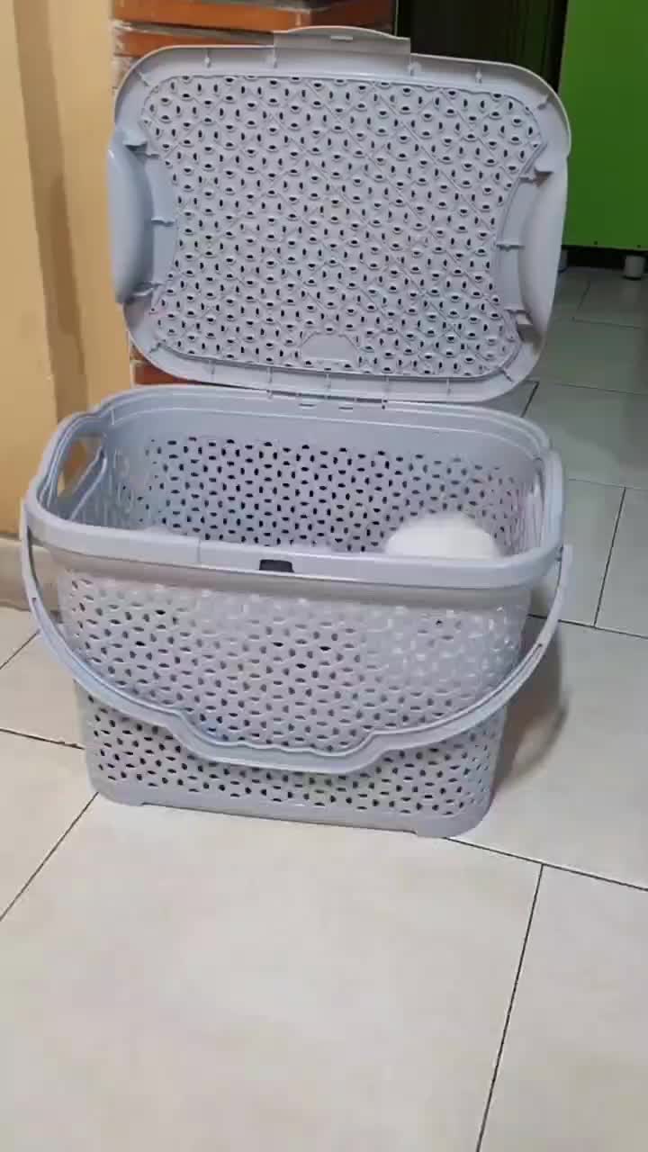 سگ پودل . پامر . پامرانین خرسی سفید ۷۵ روز|سگ|تهران, شهرک غرب|دیوار