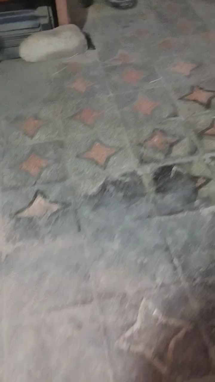 برنج ونیم دانه کامفیروزی و عنبربو درجهیک میخای بیا|خوردنی و آشامیدنی|شیراز, تندگویان|دیوار