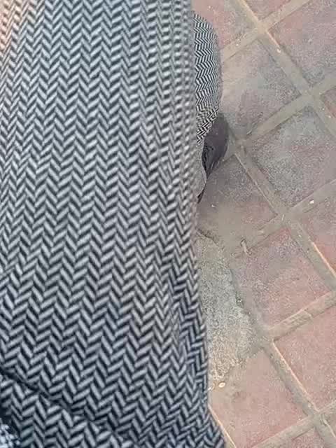 گوشی ماهواریی|موبایل|بندرعباس, |دیوار