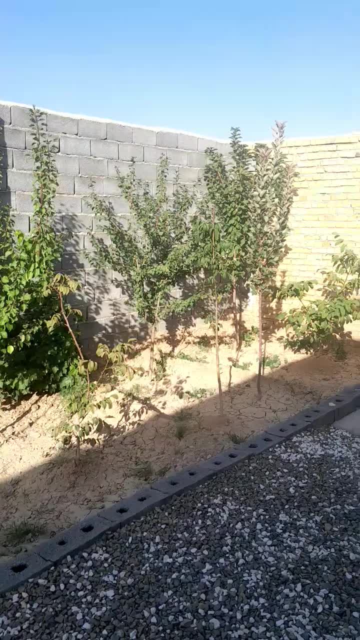 کمیجان|فروش خانه و ویلا|کمیجان, |دیوار