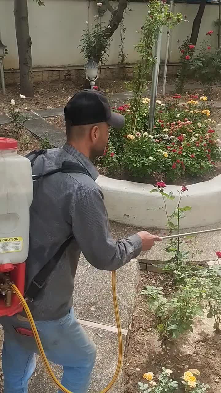حرس درخت سم پاشی گل گیاه کودگلکاری آپارتمان|خدمات باغبانی و درختکاری|تهران, دروس|دیوار