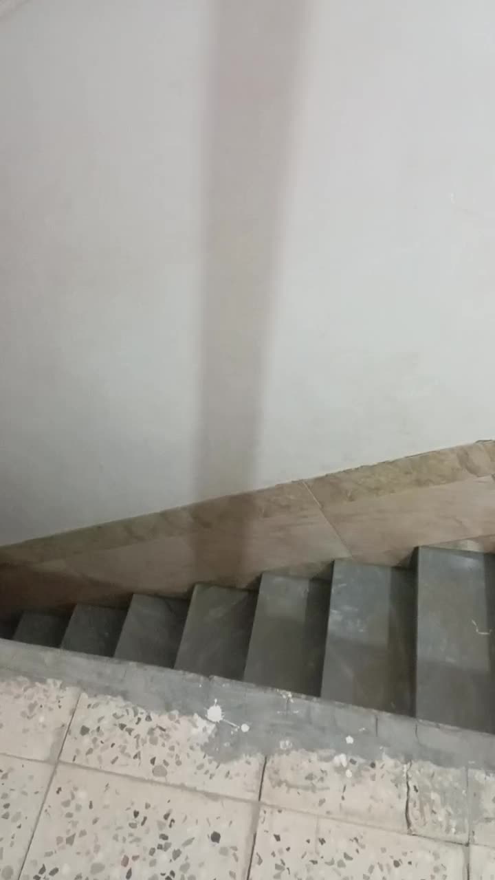 خانه برای اجاره|اجارهٔ خانه و ویلا|لاران, |دیوار