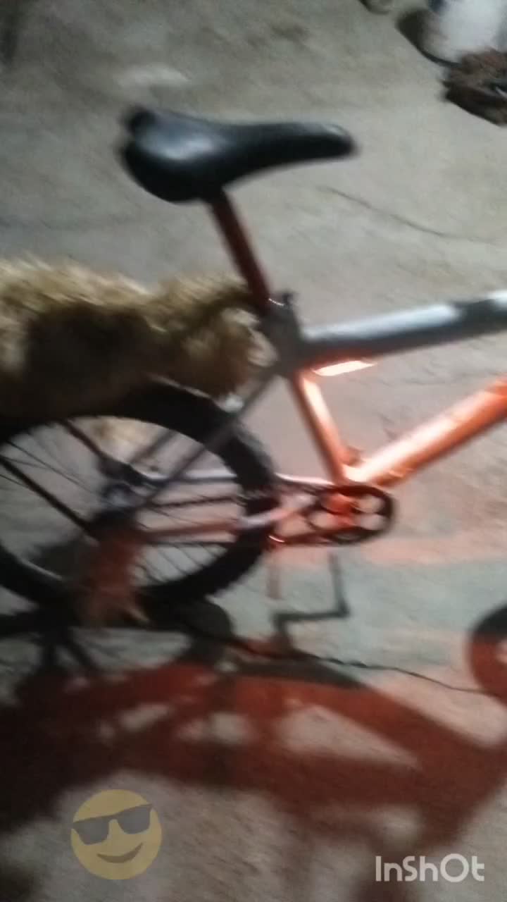 درحد نوع دوچرخه 20هست|دوچرخه، اسکیت، اسکوتر|هیدوچ, |دیوار