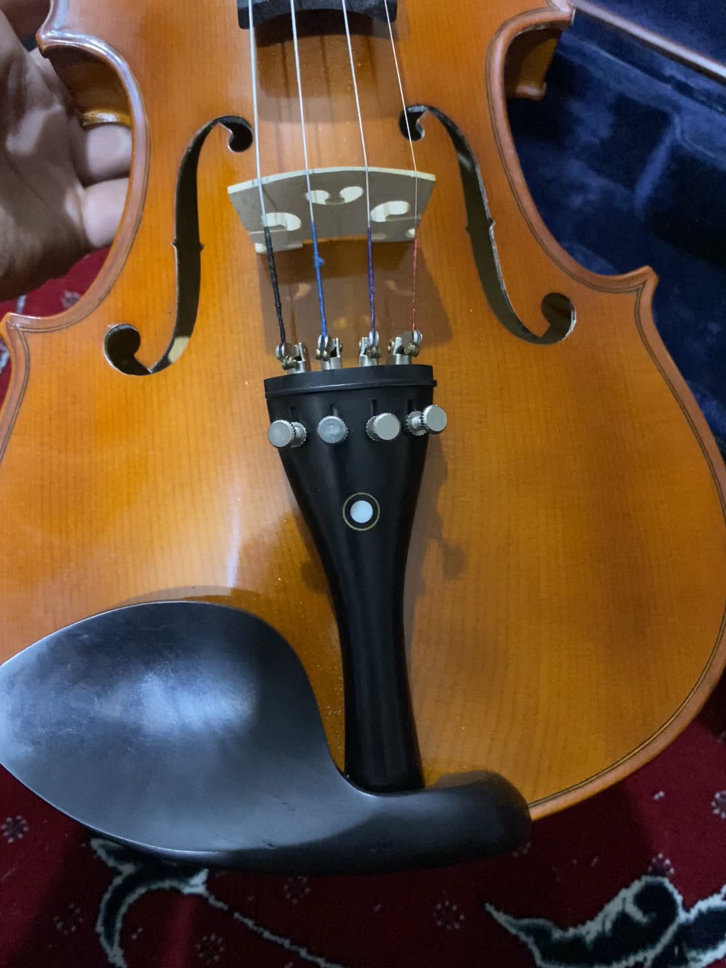 ویالن ۴/۴|ویولن|یاسوج, |دیوار