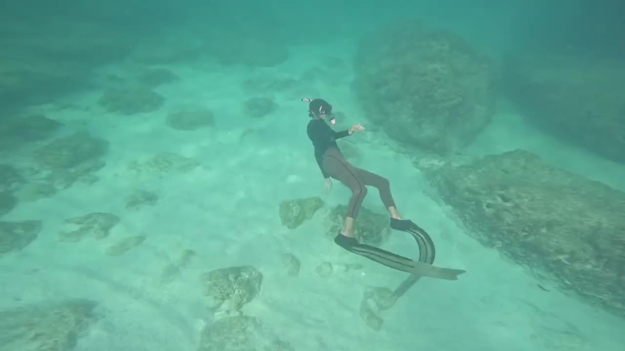 پدلبرد تفریحی آموزشی|غواصی و ورزشهای آبی|کیش, |دیوار