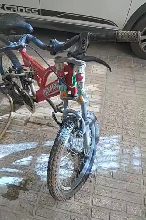فروش دچرخه دو تا با هم|دوچرخه، اسکیت، اسکوتر|ملایر, |دیوار
