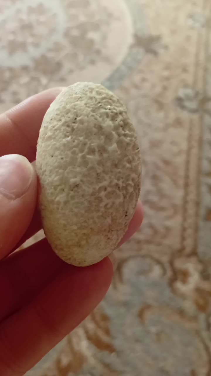 سنگهای قیمتی|کلکسیون اشیاء عتیقه|تبریز, |دیوار