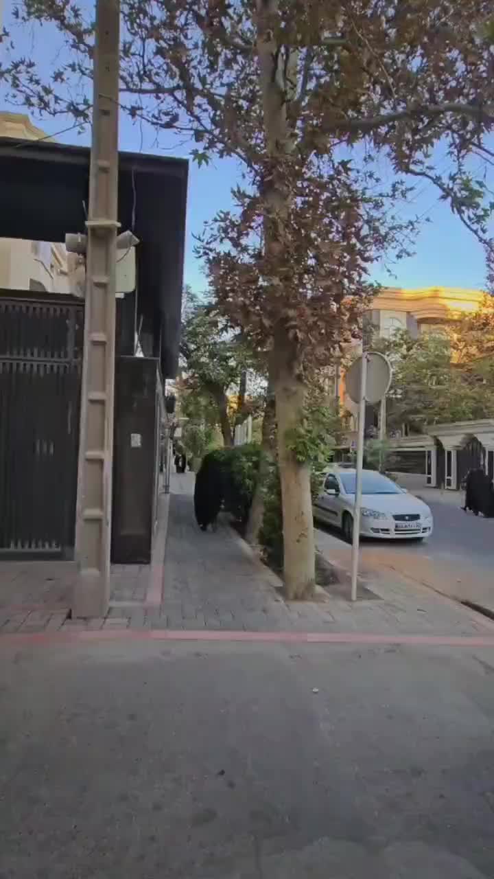 ۱۸۰ متر احمدآباد بهشت تک واحدی دونبش|فروش آپارتمان|مشهد, بهشت|دیوار