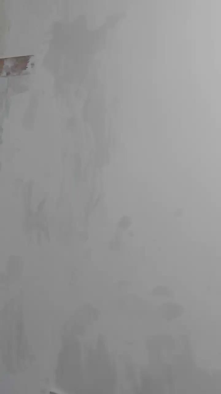 طرح کاغذدیواری با رنگ|خدمات پیشه و مهارت|پارس‌آباد, |دیوار