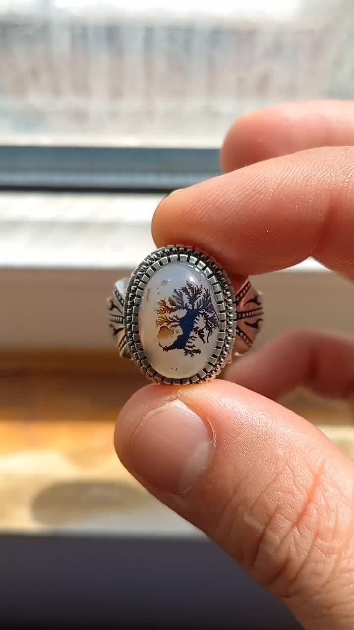 شجر تک درخت قائن|بدلیجات|کرمانشاه, |دیوار