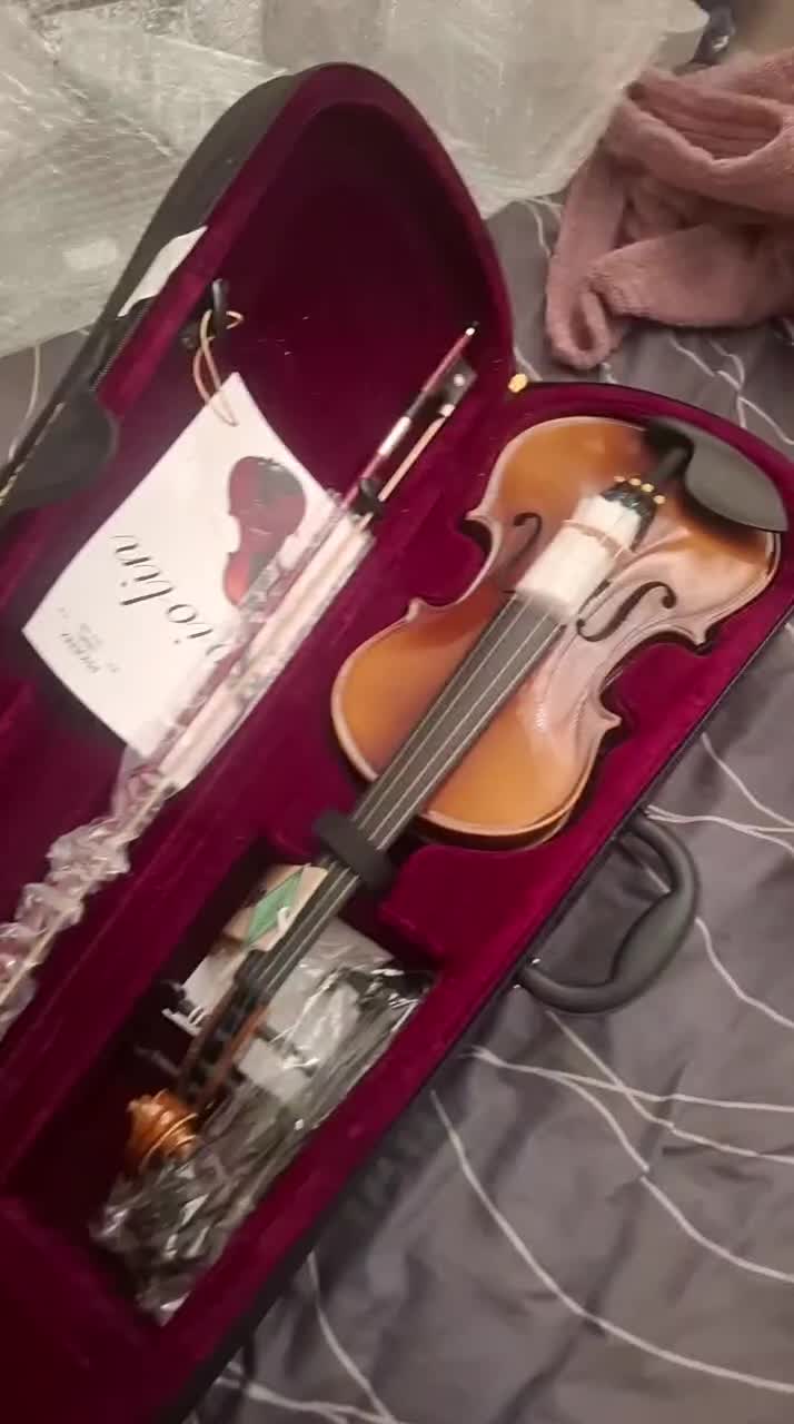 ویالون فونیکسMVP101H|ویولن|تهران, مهران (سیدخندان)|دیوار