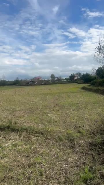 فروش11000مترزمین مناسب کاشت کیوی و برنج|فروش زمین و ملک کلنگی|لیسار, |دیوار