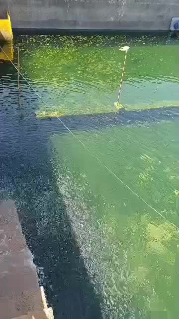 ۴۲هکتار باغ و زمین کشاورزی|فروش دفتر صنعتی، کشاورزی، تجاری|شاهین‌شهر, شهرک مطهری|دیوار