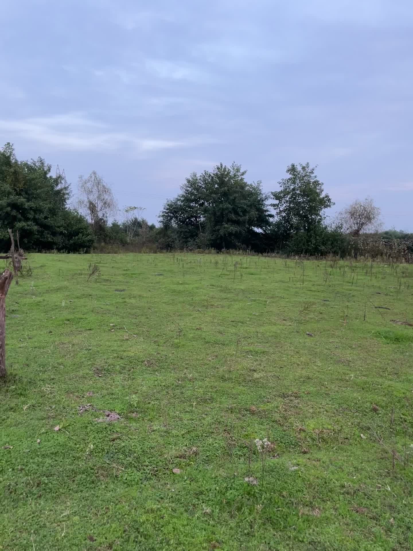 فرصتی مناسب برای سرمایه گذاری در زمین کشاورزی|فروش زمین و ملک کلنگی|لوندویل, |دیوار