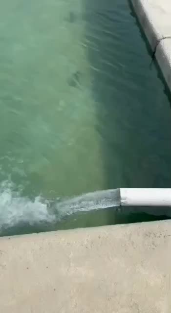 زمین باغی دارای مجوز جهاد|فروش زمین و ملک کلنگی|رباطکریم, الارد|دیوار