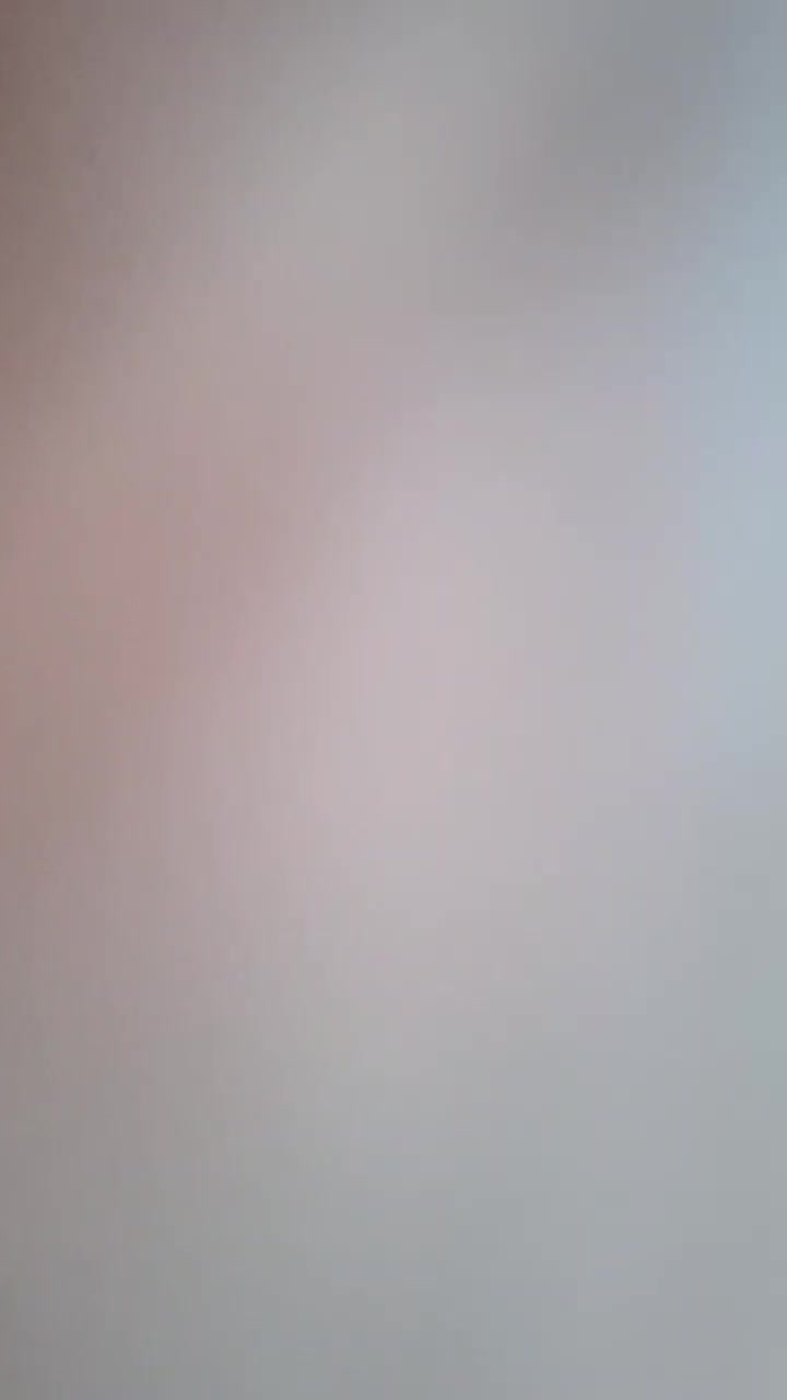 گل زینتی|گل و گیاه طبیعی|نجفآباد, طالقانی|دیوار