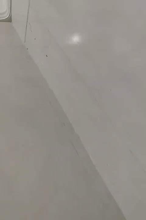 خانه اجاره ای منزل اجاره‌ای آپارتمانی|اجارهٔ خانه و ویلا|سراوان, |دیوار