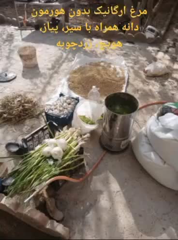 مرغ ارگانیک بدون هیچ داروی صنعتی|خوردنی و آشامیدنی|شهریار, رنگرز|دیوار