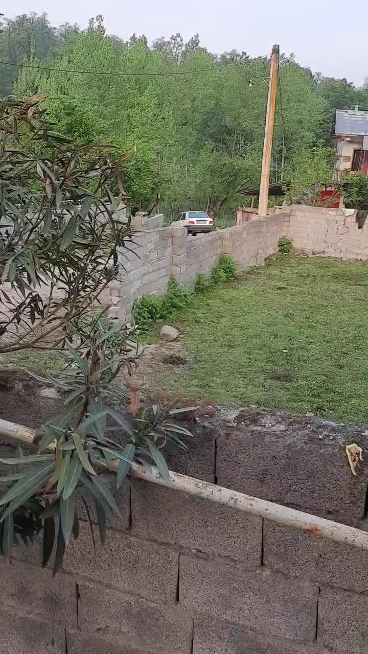 زمینبه مساحت ۴۱۰متر|فروش زمین و ملک کلنگی|آلاشت, |دیوار