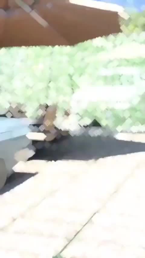 پیکان کلاسیک ۶۴ موتور دولوکس|خودرو کلاسیک|رشت, خمیران زاهدان|دیوار