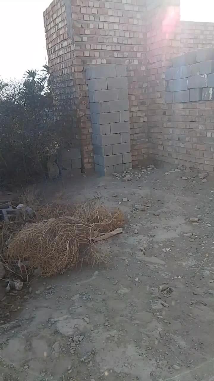 زمین ومنزل فروشی|فروش زمین و ملک کلنگی|بمپور, |دیوار