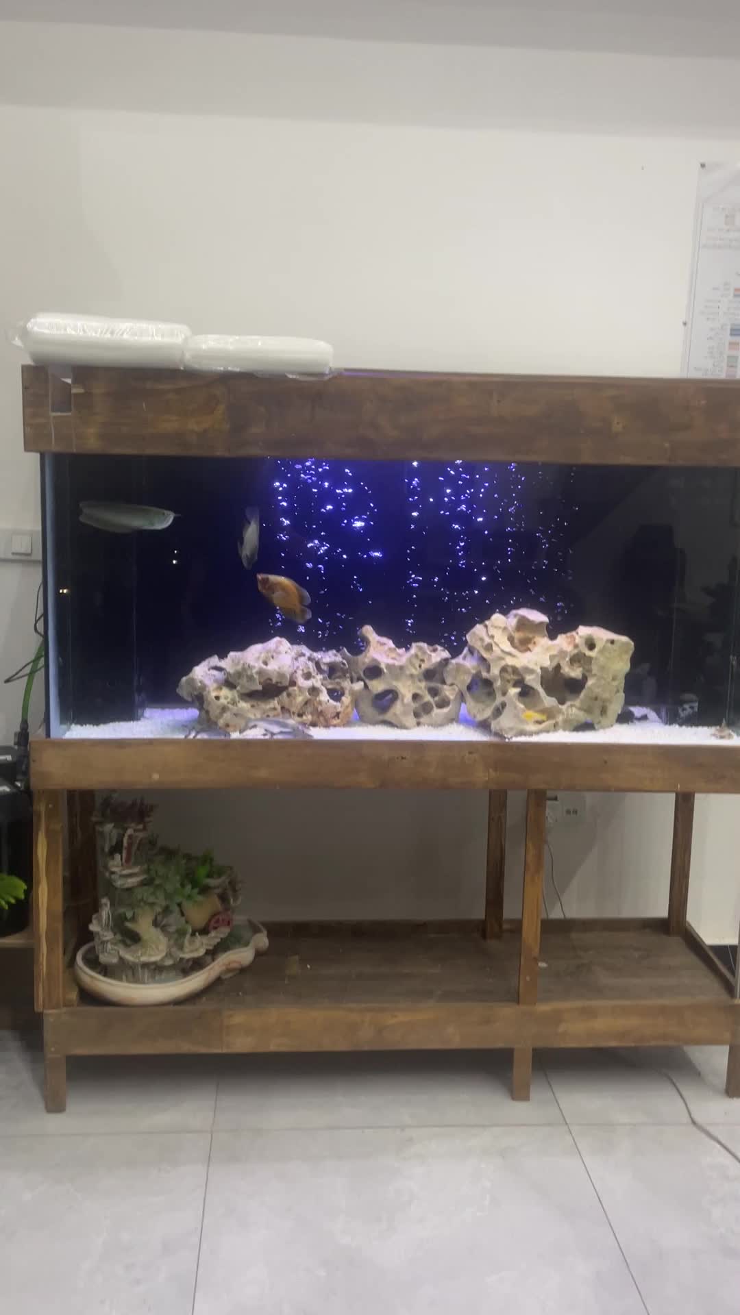 آکواریوم با ماهی|ماهی|پردیس, فاز ۸|دیوار