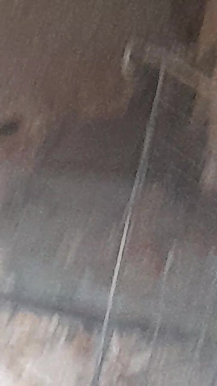 سگ نر|سگ|پیشوا, |دیوار