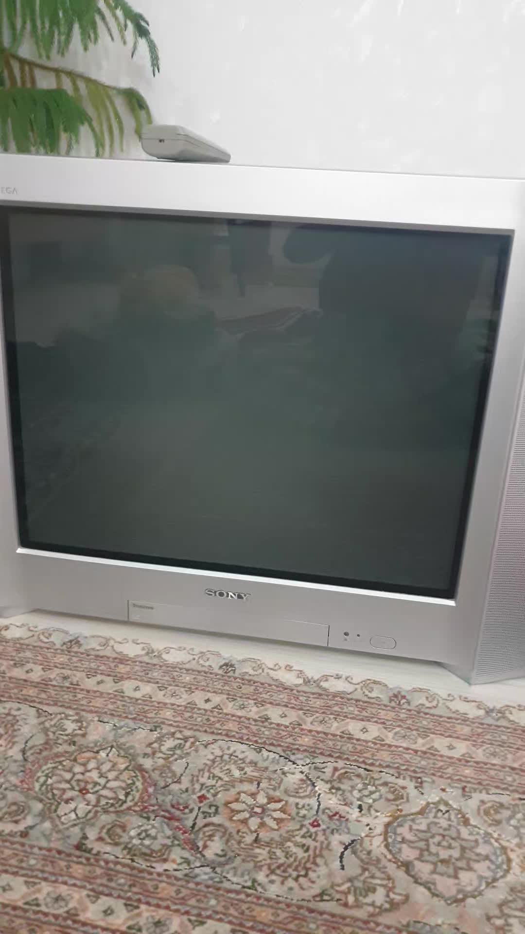 تلویزیون ۲۹ اینچ قدیمی کاملا سالم وکم کارکرد سونی|تلویزیون و پروژکتور|ارومیه, |دیوار