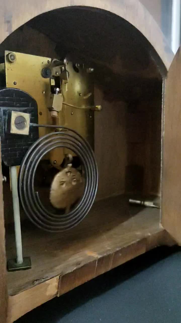 ساعت دو کوک شومینه ای|ساعت دیواری و تزئینی|قم, پردیسان|دیوار