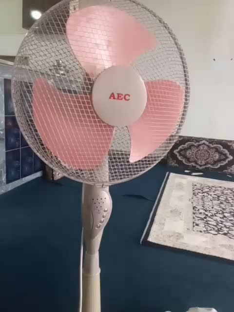 AEC|پنکه و تصفیه‌کنندهٔ هوا|همدان, |دیوار