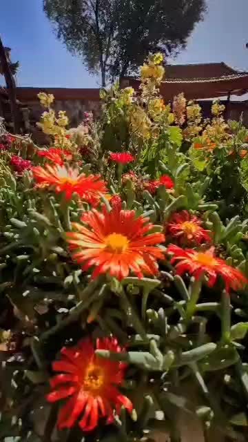 اجاره خانه مبله منزل مبله خانه مسافرسوییت|اجارهٔ کوتاه‌مدت آپارتمان و سوئیت|اصفهان, آبشار|دیوار