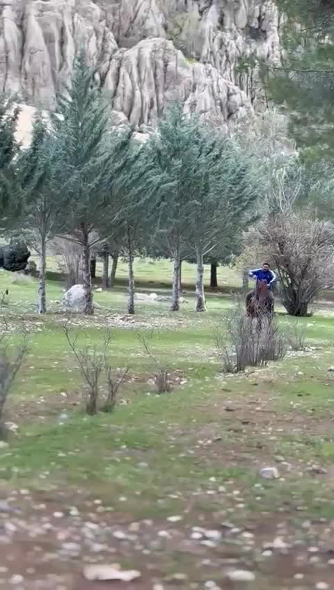 اسب مادیان|اسب و تجهیزات اسب‌سواری|پاسارگاد, |دیوار