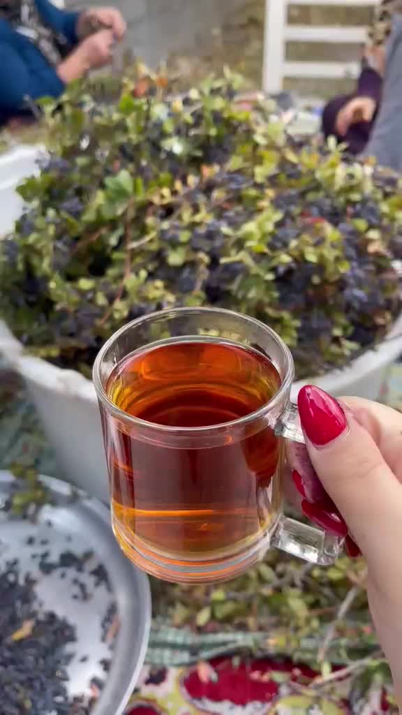 آب زرشک سیاه کوهی غلیظ تهیه شده با آب معدنی|خوردنی و آشامیدنی|تهران, شهرک مخابرات|دیوار