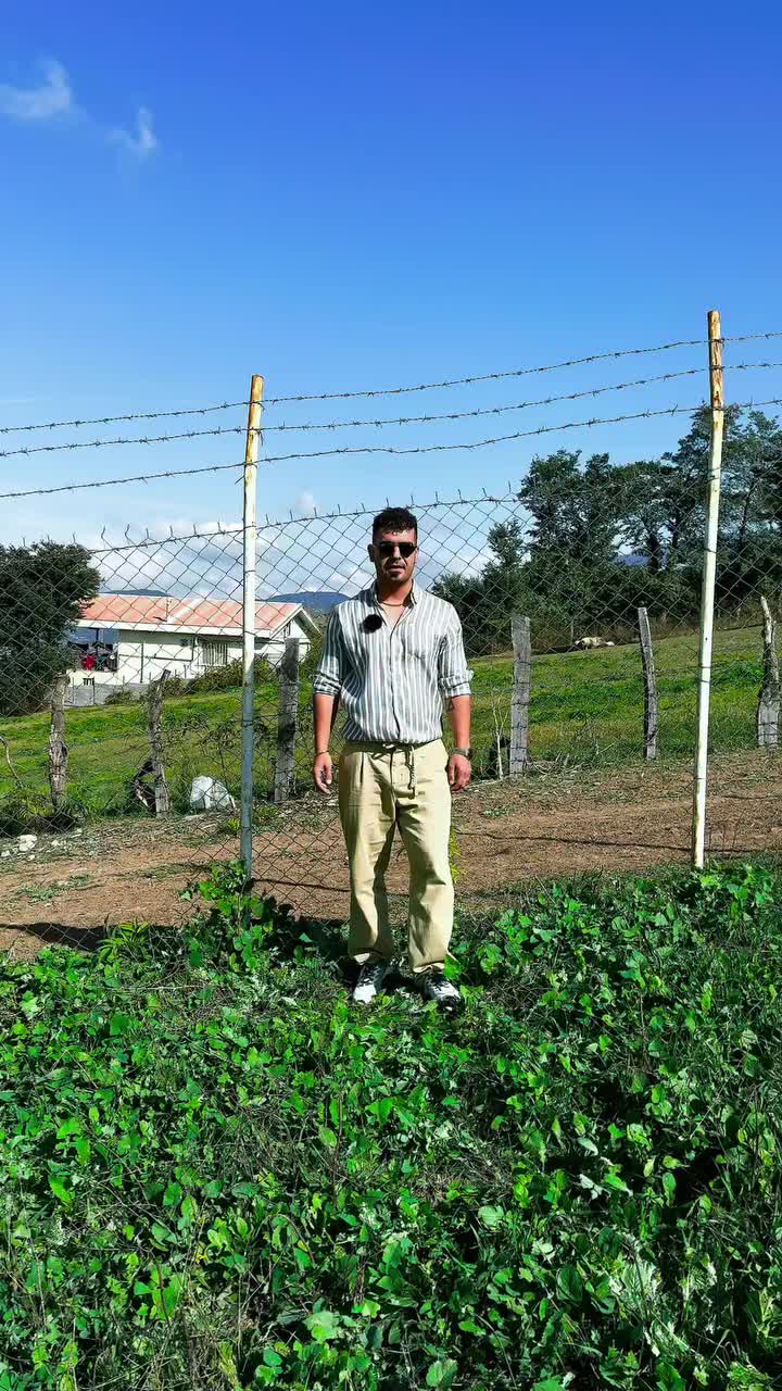 1000متر زمین سند تک برگ خوش قواره دوبر|فروش زمین و ملک کلنگی|توتکابن, |دیوار